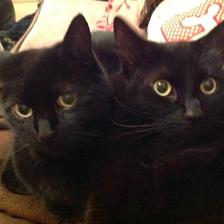 Ronnie And Reggie