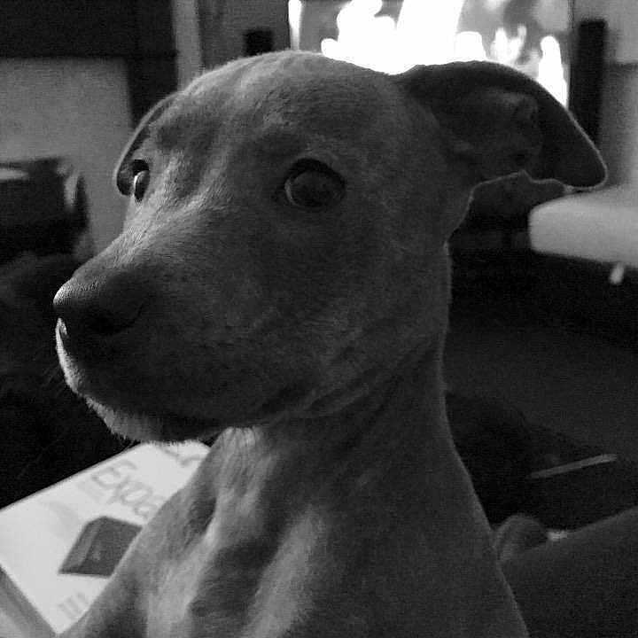 Bella