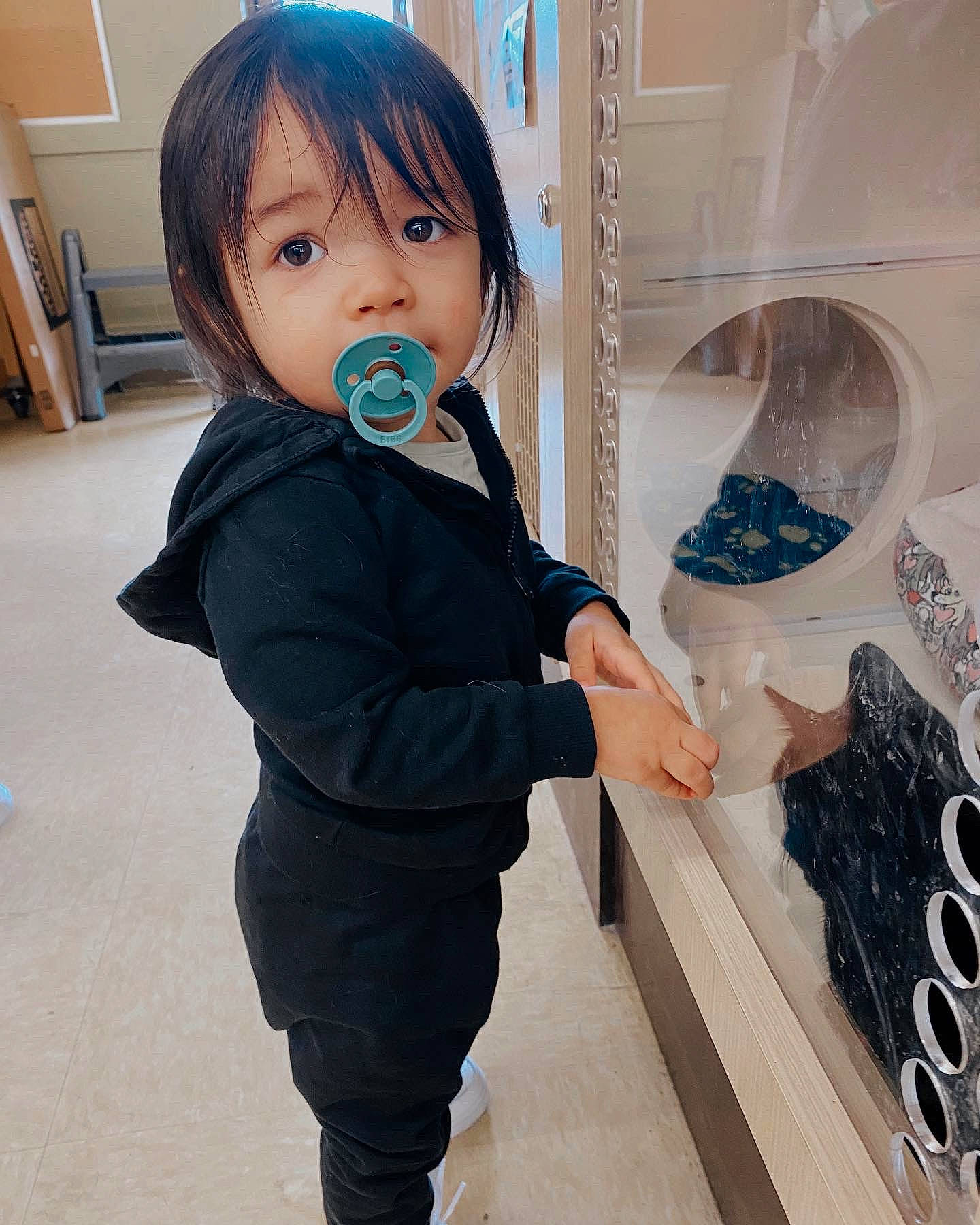 Koa joined the competition — help win amazing prizes! art, baby, baby_toddler_clothing, bangs, bookcase, child, clothing, eye, facial_expression, flooring, formal_wear, outerwear, pattern, person, shelf, sleeve, standing, suit, t_shirt, thumb