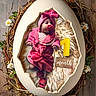 baby, baby_photography, blanket, celebration, cozy, cute, egg_prop, flowers, headwrap, infant, milestone, nest, newborn, number_one, pacifier, pink_clothing, portrait, props, soft_texture, wooden_floor