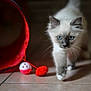 Loop's participe au concours pour gagner de l'argent avec cette photo :