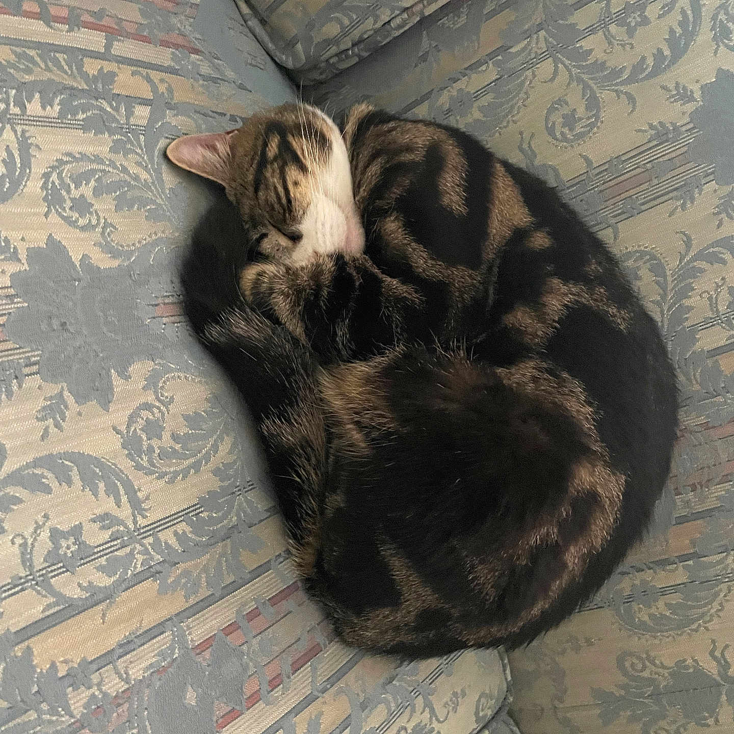 Milo