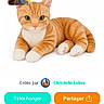 animal, buttons, cat, cute, digital_image, facebook, green_eyes, indoor, lying_down, mobile_phone, orange_tabby, pet, pink_nose, portrait, screenshot, striped_fur, studio_background, website, white_background, white_paws