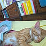 animal, bed, bedroom, books, cat, closeup, cozy, cute, furniture, home, indoors, orange_tabby, pet, quilt, relaxed, resting, sleeping, striped_fur, wooden_cabinet, yellow_blanket