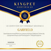 Garfield a rejoint le concours — aidez-le/la à gagner de superbes lots ! achievement, award, blue, cat, certificate, competition, contest, date, french_text, garfield, gold, graphic_design, kingpet, laurel_wreath, official_document, ornate_design, paper, ranking, ribbon, typography