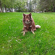 Ioda a rejoint le concours — aidez-le/la à gagner de superbes lots !