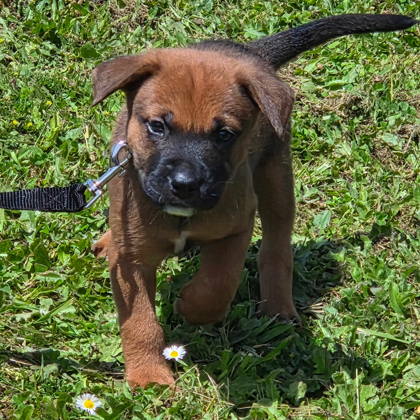 Diego