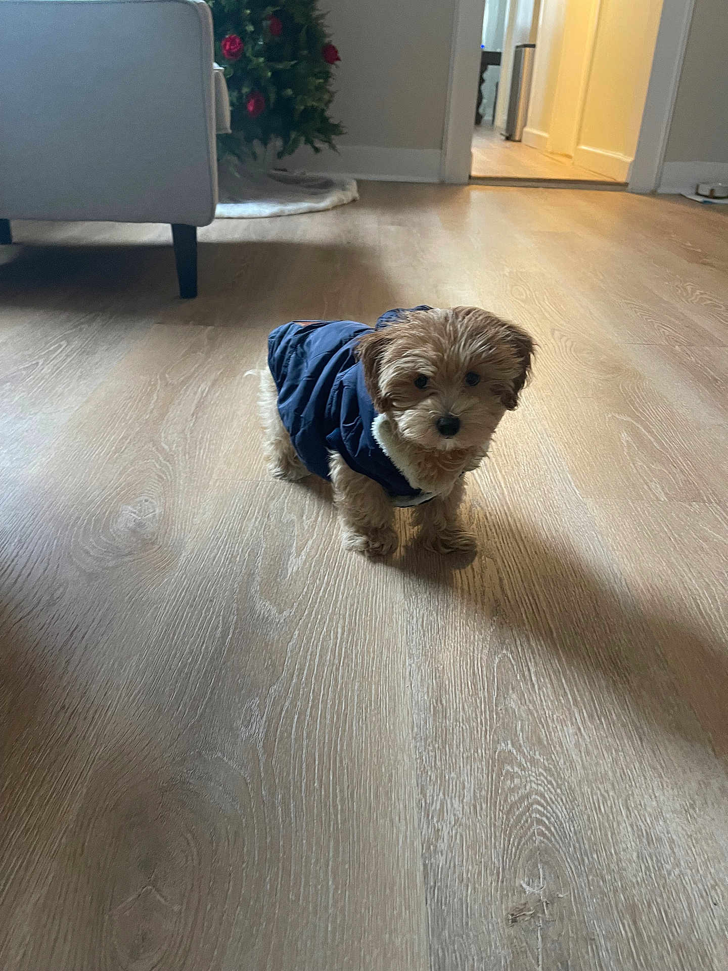 Jack