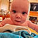 Wrenley Rose