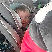 Wrenley Rose is registered to the contest to win money with this photo: automobile, baby, blue_eyes, bottle, car_door, car_interior, car_seat, child, child_seat, clothing, curious, graco, hand, person, plush_toy, seat, seatbelt, toddler, toy, window