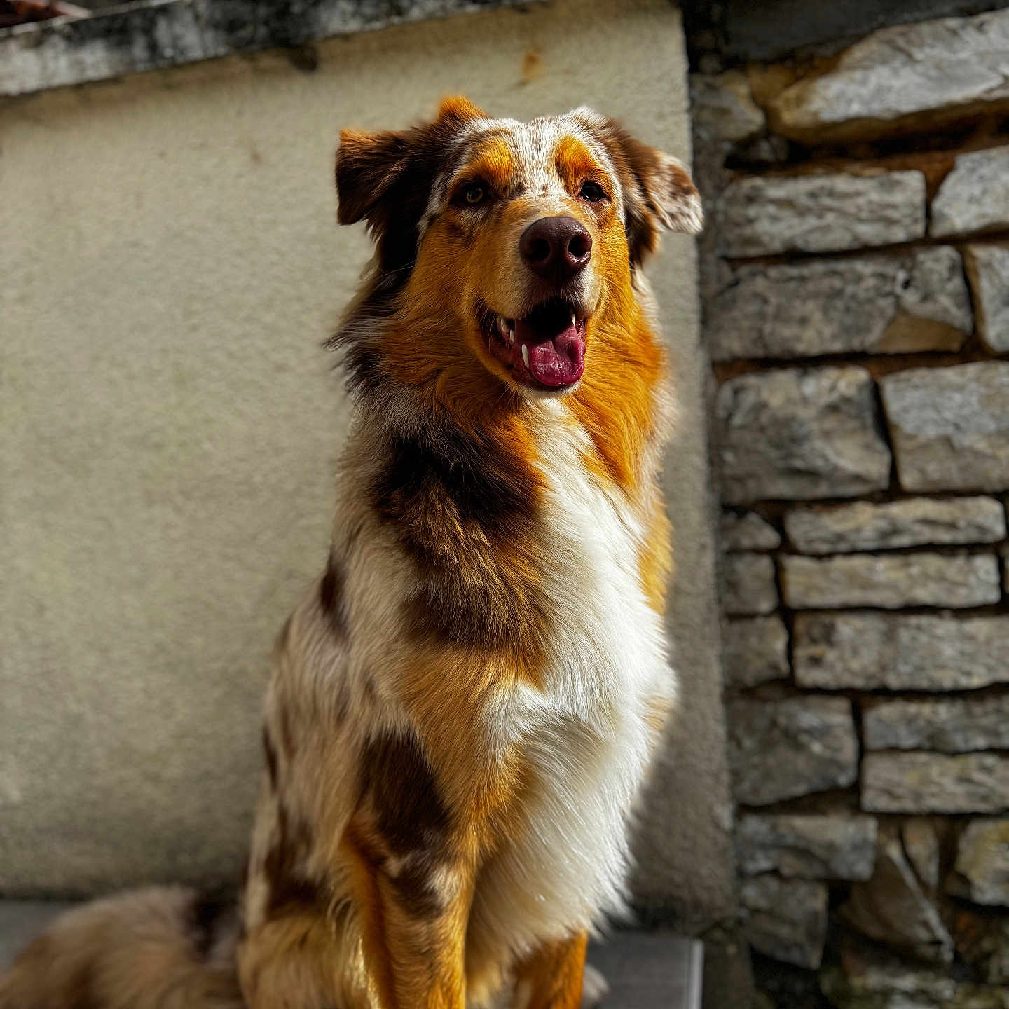 Vinci