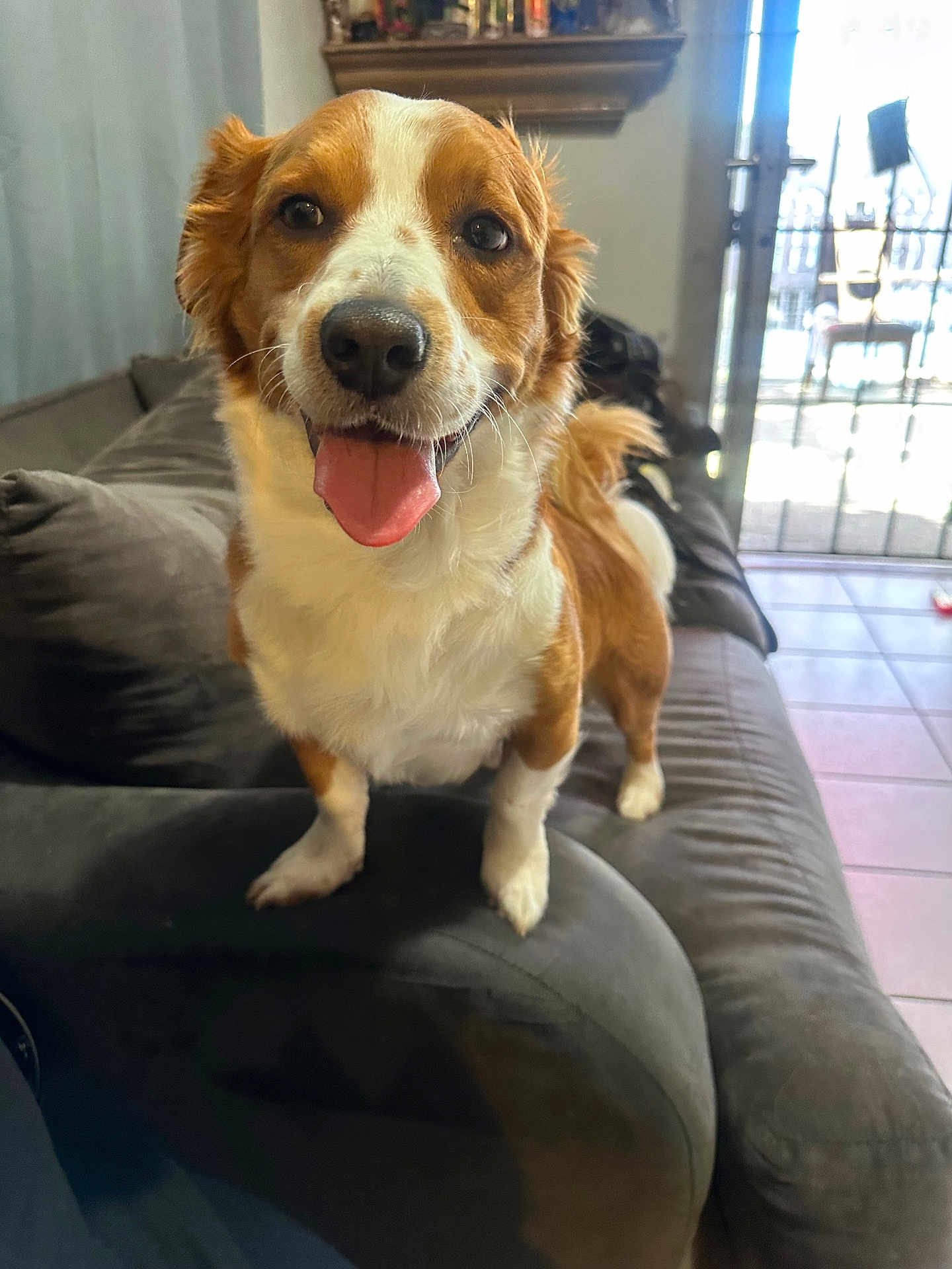 Milo