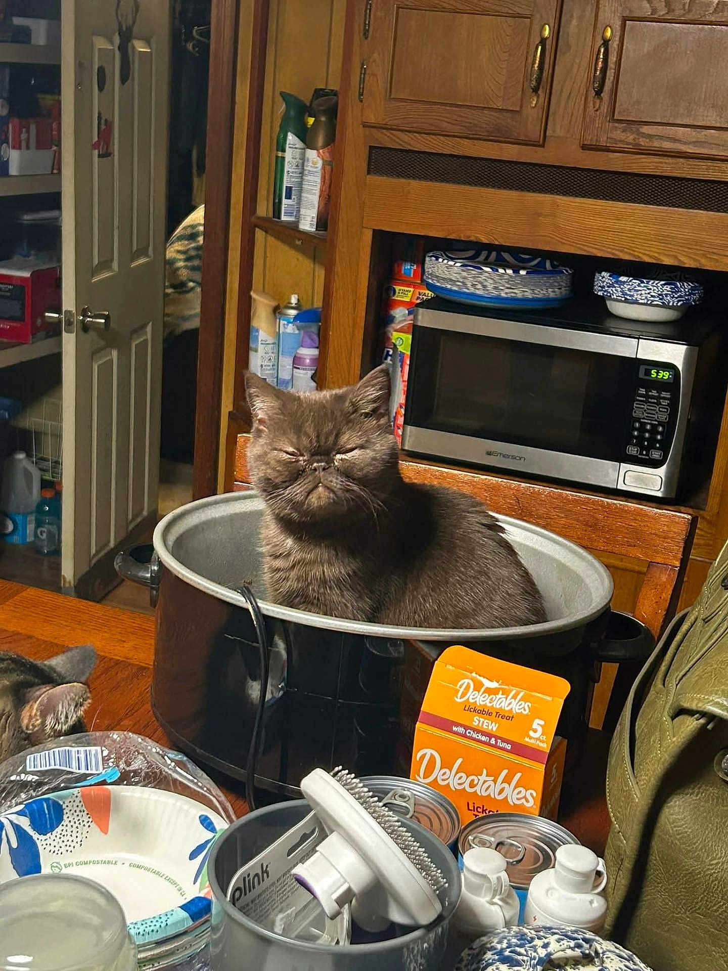 Lil Ugly is registered to the contest to win money with this photo: cat, pot, kitchen, table, food_packaging, microwave, wooden_cabinet, household_items, plate, can, bottle, chair, cat_face, feline, indoor, clutter, container, curious, domestic_animal, cozy