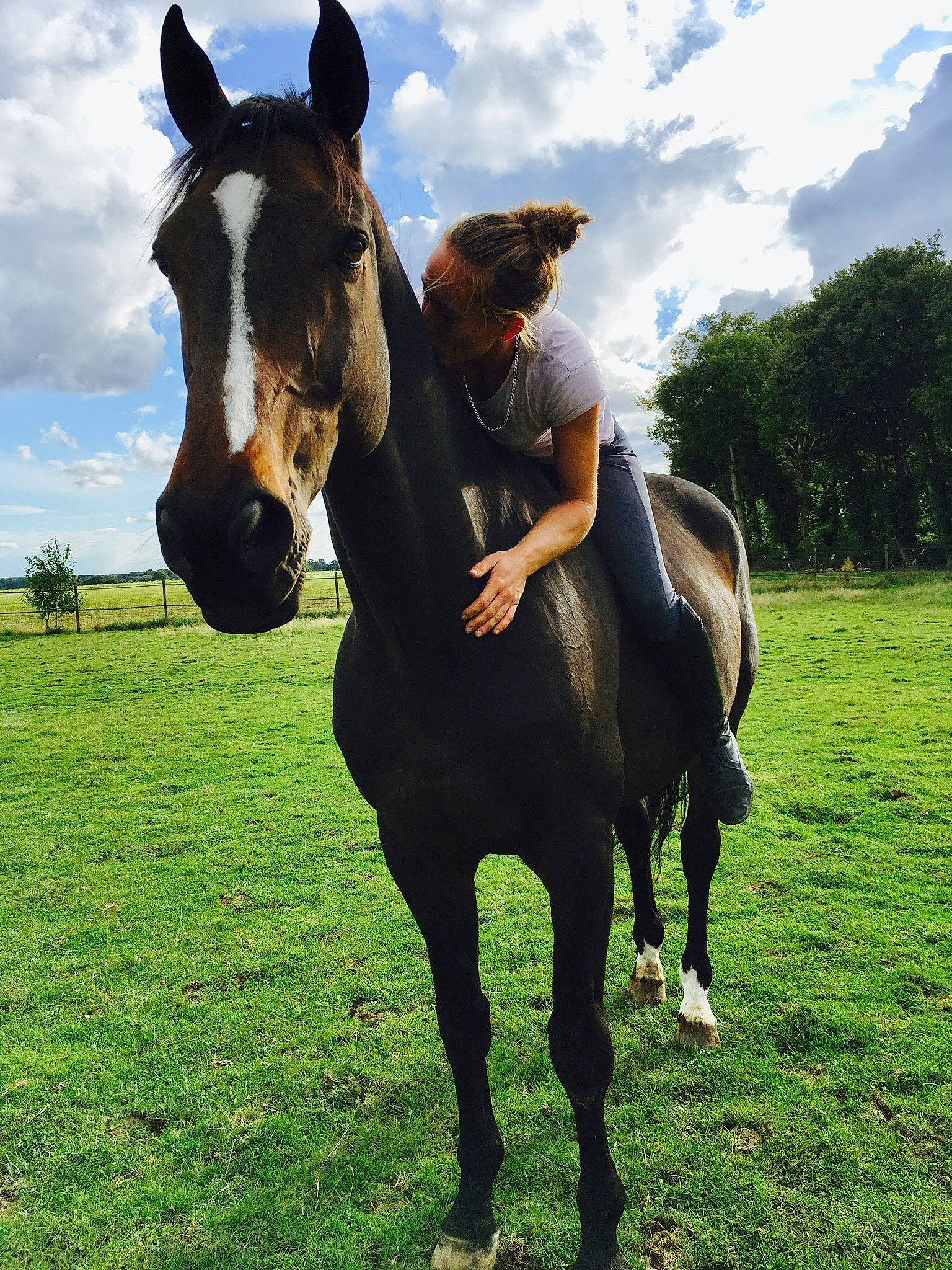 Oslo a rejoint le concours — aidez-le/la à gagner de superbes lots ! bridle, equestrianism, grassland, halter, horse, horse_supplies, horse_tack, horse_trainer, mammal, mane, mare, mustang_horse, pasture, photography, recreation, rein, riding_instructor, sky, stallion, vertebrate