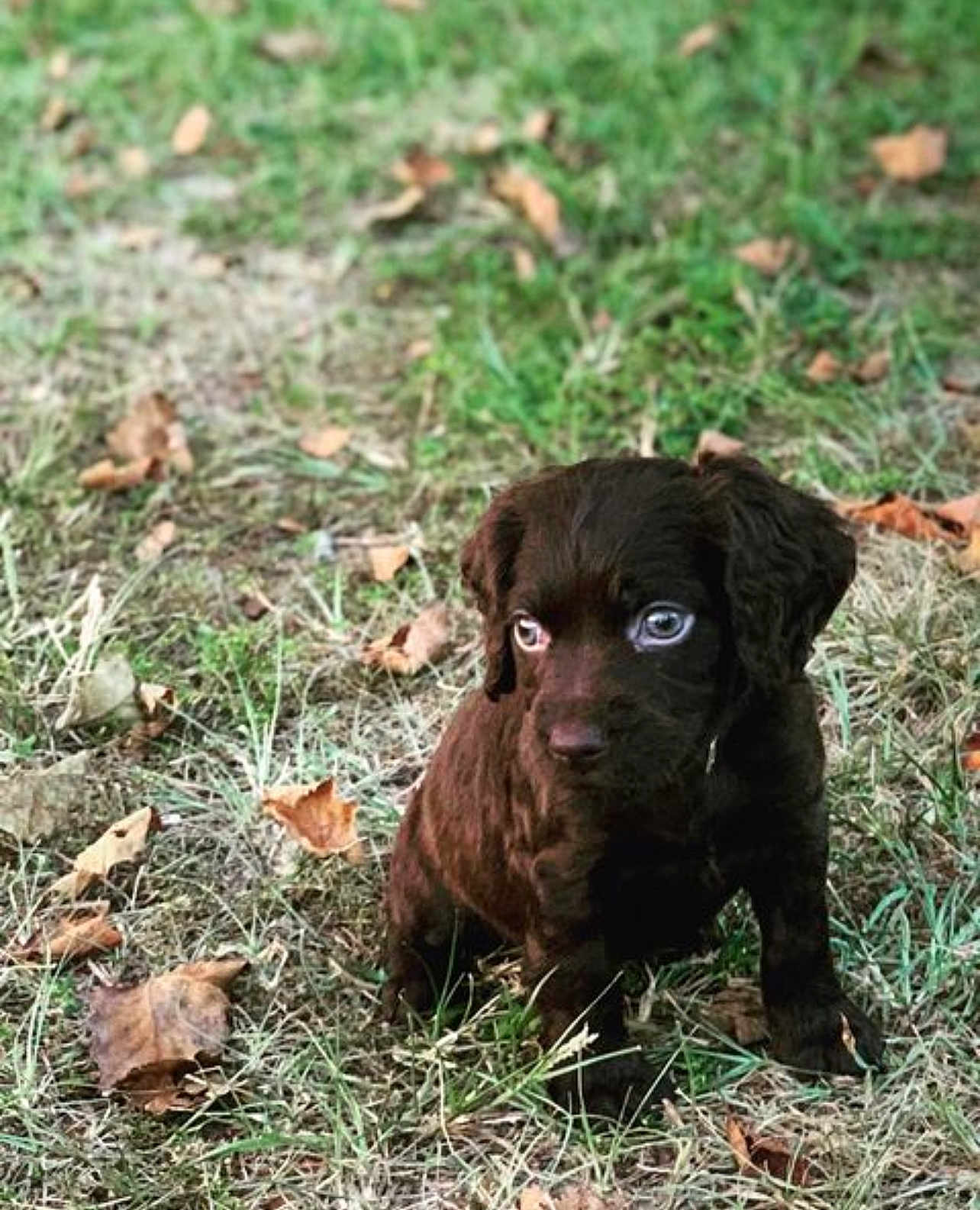 Tucker
