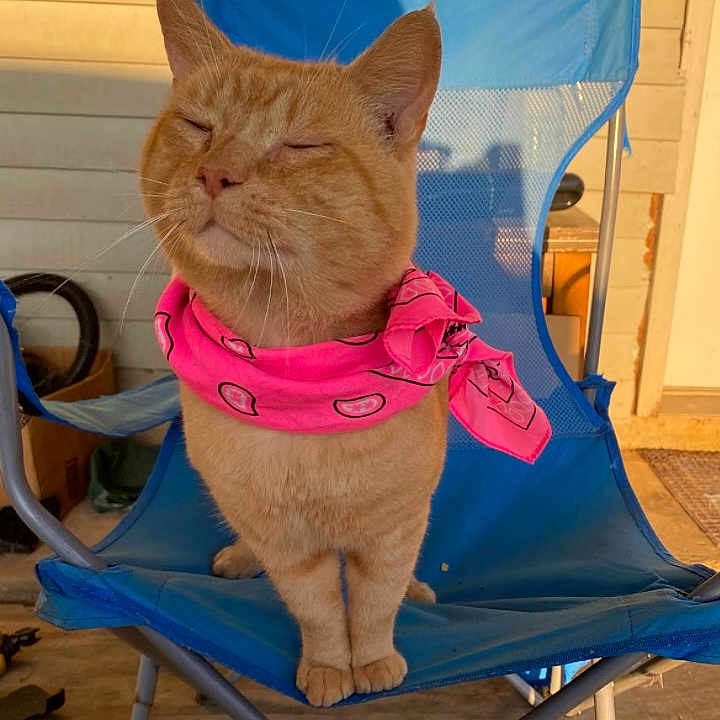 Thomas Omalley