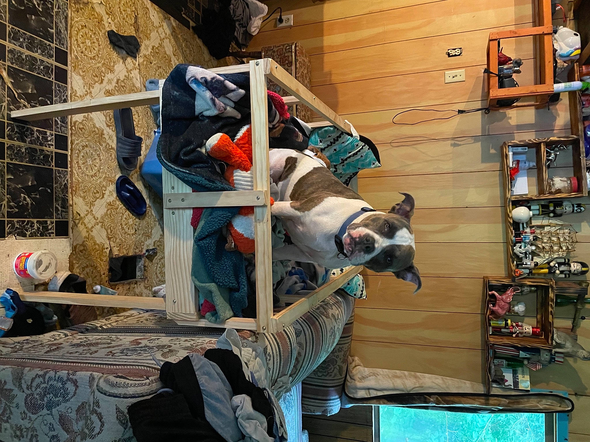 Eva joined the competition — help win amazing prizes! adventure, art, artist, carmine, fun, hat, machine, room, sculpture, shelf, shelving, visual_arts, wood, world