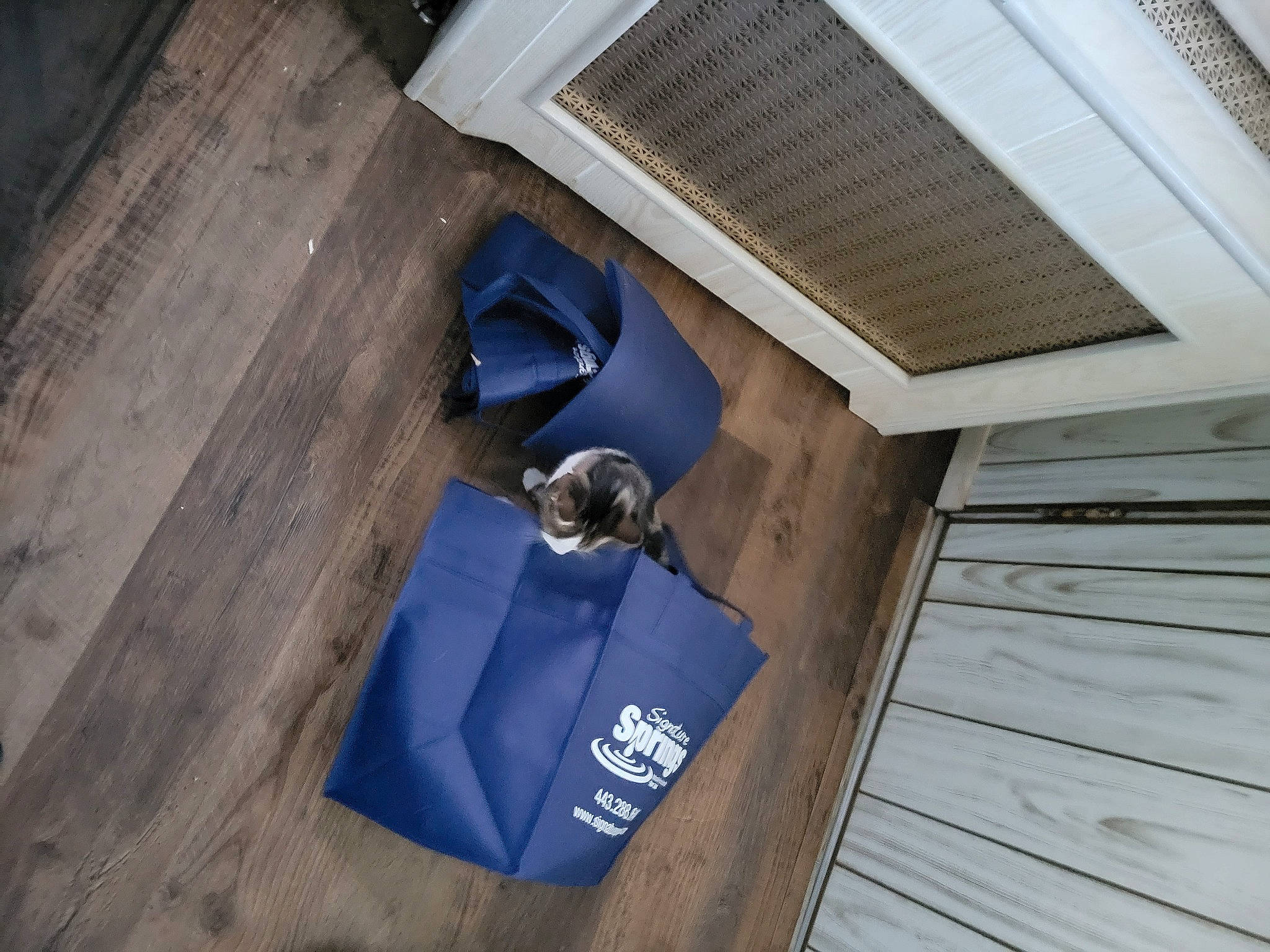 Squirt joined the competition — help win amazing prizes! aluminium, bag, composite_material, daylighting, electric_blue, fixture, flooring, gas, hardwood, metal, pattern, plank, plastic, plywood, rectangle, room, varnish, waste_container, wood, wood_stain