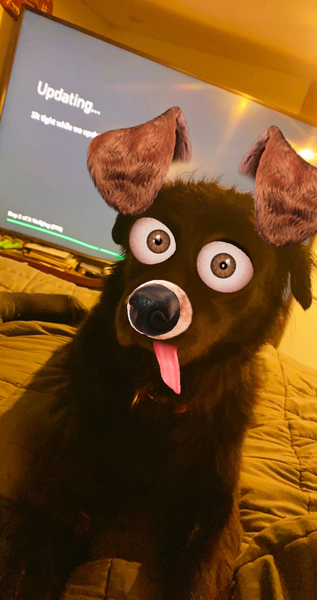 Oso joined the competition — help win amazing prizes! animation, bear, brown, costume, display_device, fawn, felidae, fun, fur, gadget, mammal, organism, plush, room, selfie, small_to_medium_sized_cats, snout, stuffed_toy, toy, whiskers