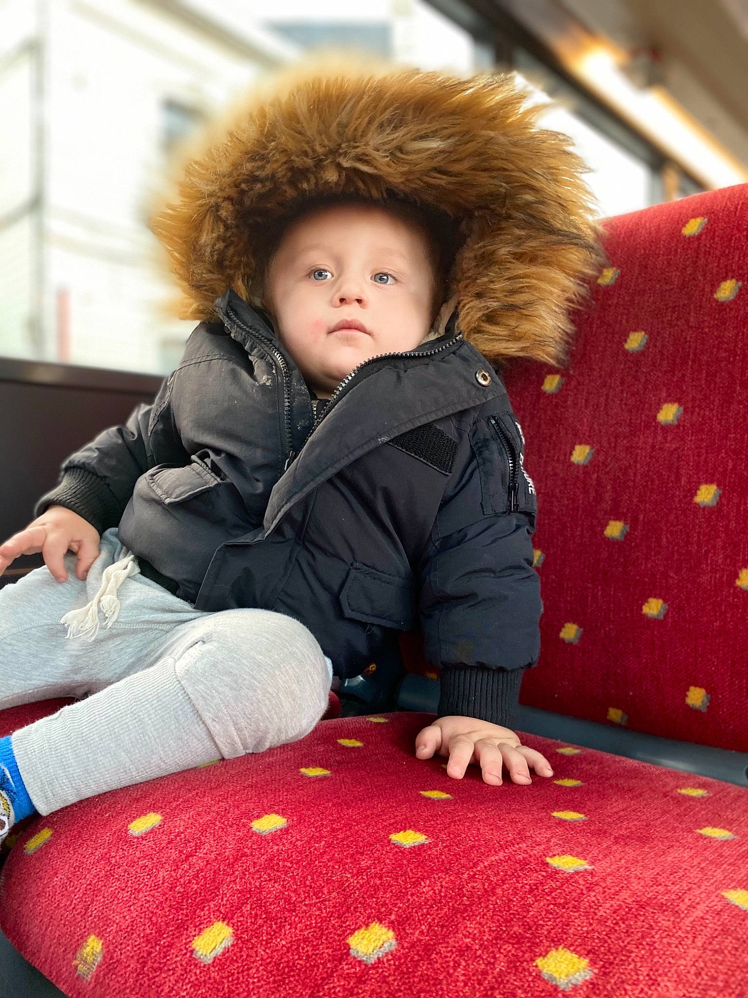 Tyméo participe au concours pour gagner de l'argent avec cette photo : brown_hair, cheek, child, comfort, flooring, fun, fur, grass, happy, headwear, human_leg, joint, mammal, outerwear, pattern, person, red, sitting, sleeve, textile