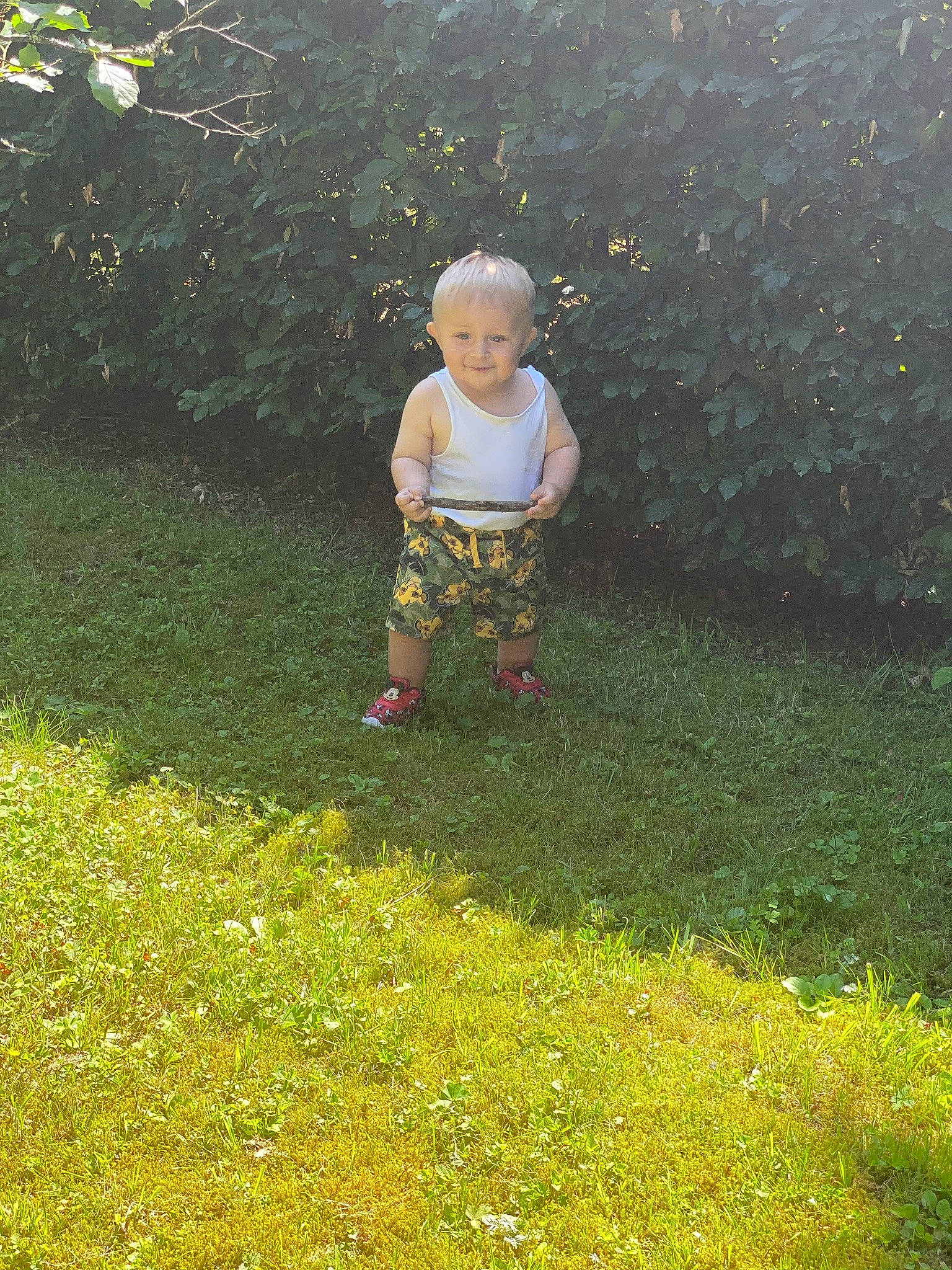 Tyméo participe au concours pour gagner de l'argent avec cette photo : baby, baby_toddler_clothing, botany, child, grass, grass_family, grassland, groundcover, happy, joy, landscape, lawn, leaf, meadow, people_in_nature, person, plant, shrub, sunlight, terrestrial_plant