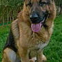 Gibson participe au concours pour gagner de l'argent avec cette photo :