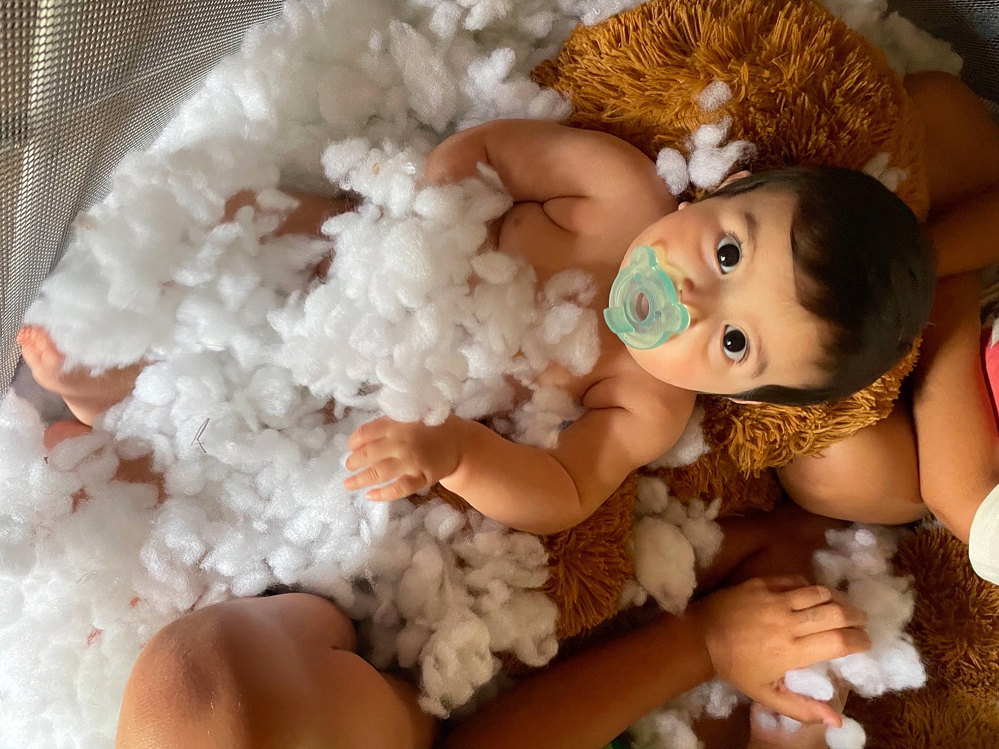 Huxley is registered to the contest to win money with this photo: baby, baby_toddler_clothing, cheek, child, comfort, doll, eyelash, fawn, fur, grass, happy, headgear, jewellery, nail, person, plush, skin, stuffed_toy, toy, white