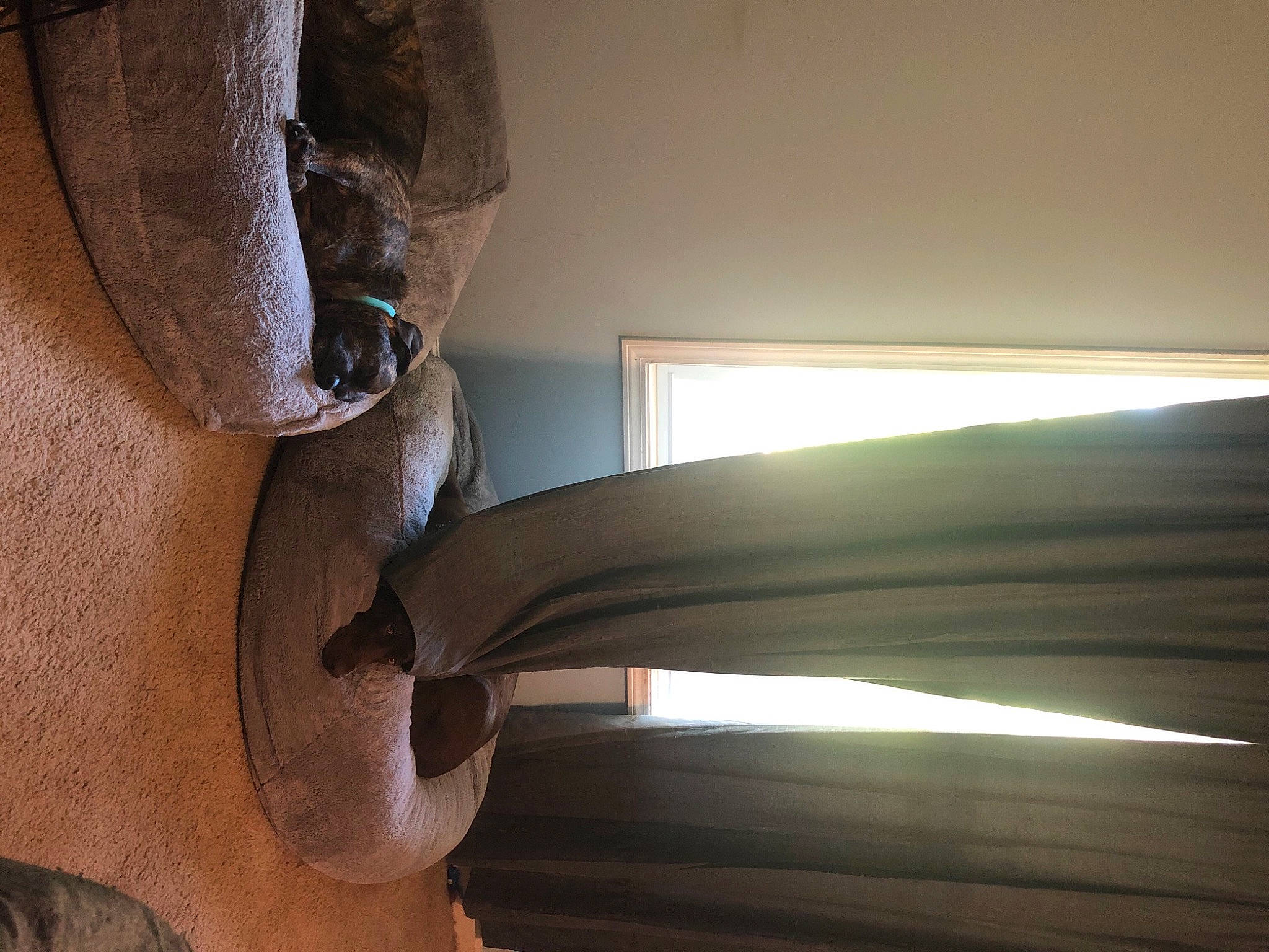 Dixie-lynn joined the competition — help win amazing prizes! art, artifact, automotive_exterior, building, ceiling, daylighting, hardwood, interior_design, metal, plaster, plywood, room, sculpture, shade, shadow, stairs, statue, tints_and_shades, visual_arts, wood