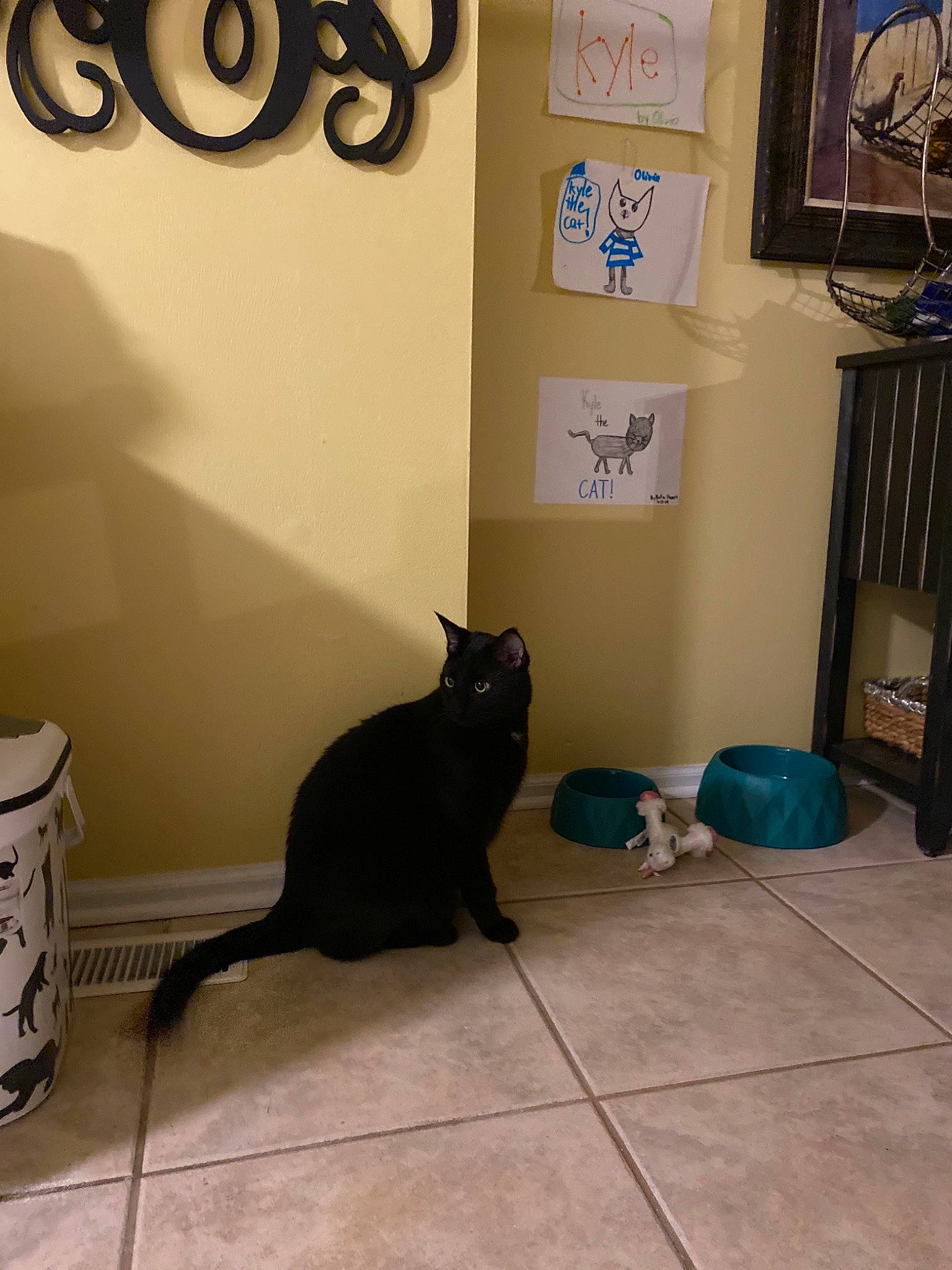 Kyle is registered to the contest to win money with this photo: asian, black, black_cat, carnivore, cat, domestic_short_haired_cat, european_shorthair, felidae, floor, flooring, house, interior_design, polydactyl_cat, room, small_to_medium_sized_cats, tail, tile, whiskers