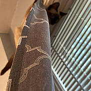 Sagittarius is registered to the contest to win money with this photo: art, artifact, beige, brown, ceiling, hardwood, leather, linens, metal, pattern, room, shadow, sleeve, tints_and_shades, twig, visual_arts, wood