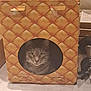 cat, cardboard_box, pineapple_pattern, pet, indoor, curious, animal, face, eyes, home, floor, exercise_equipment, dumbbell, box, cute, feline, resting, cozy, whiskers, looking