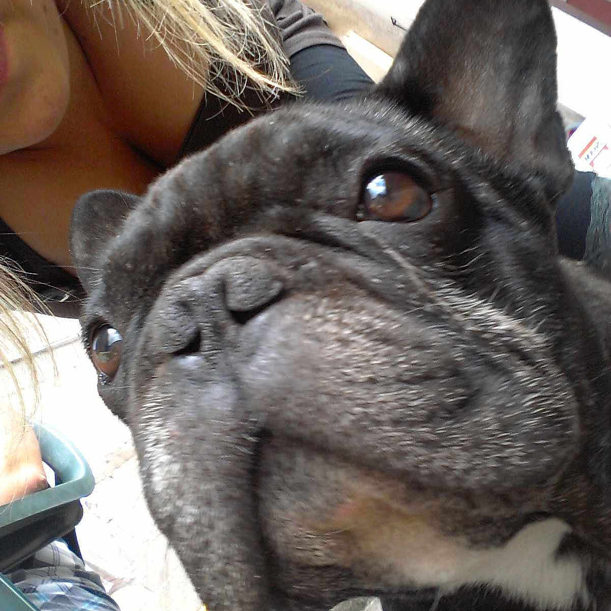 Toumy