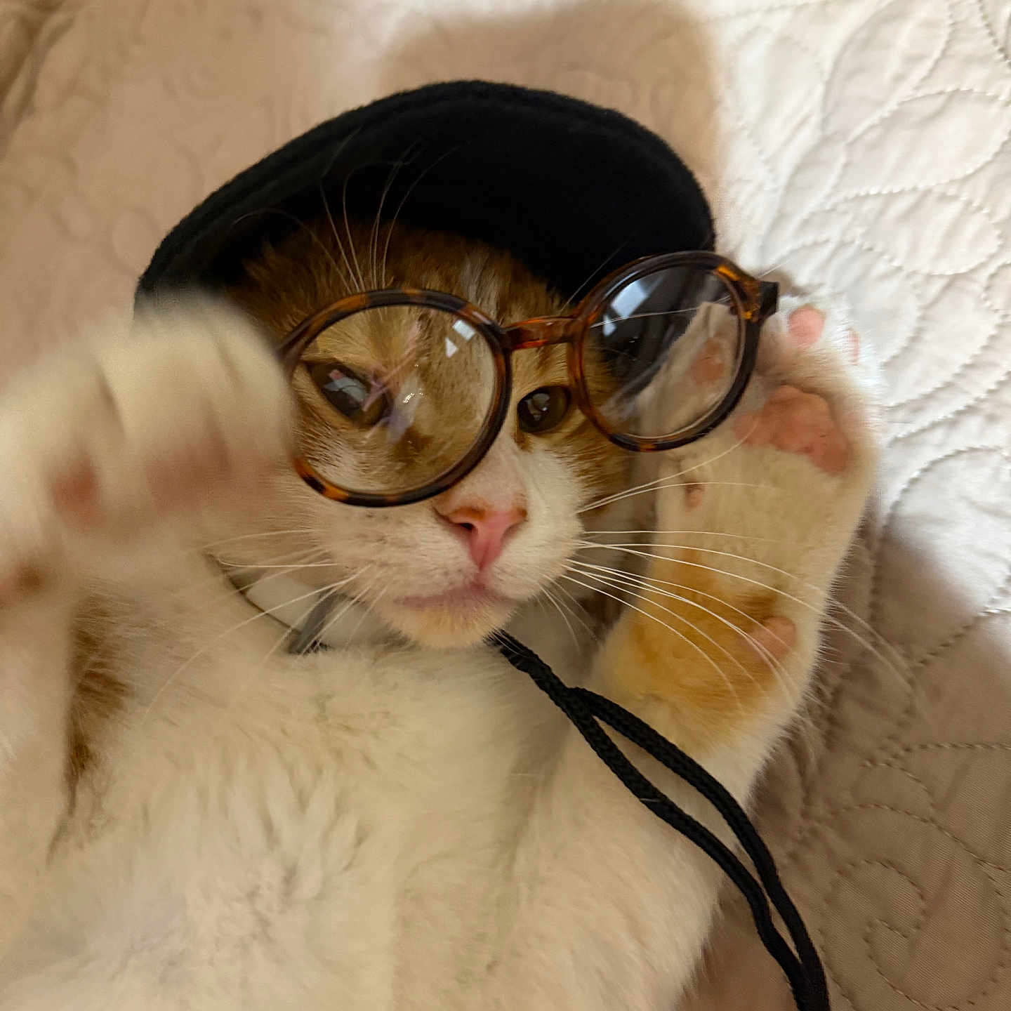 Garfield