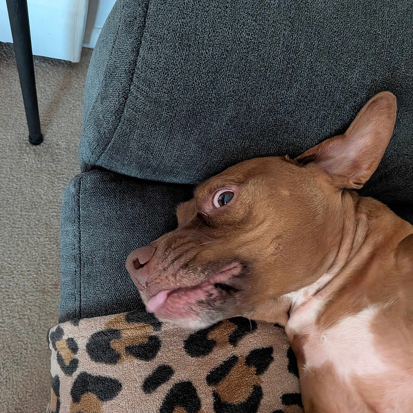 Max