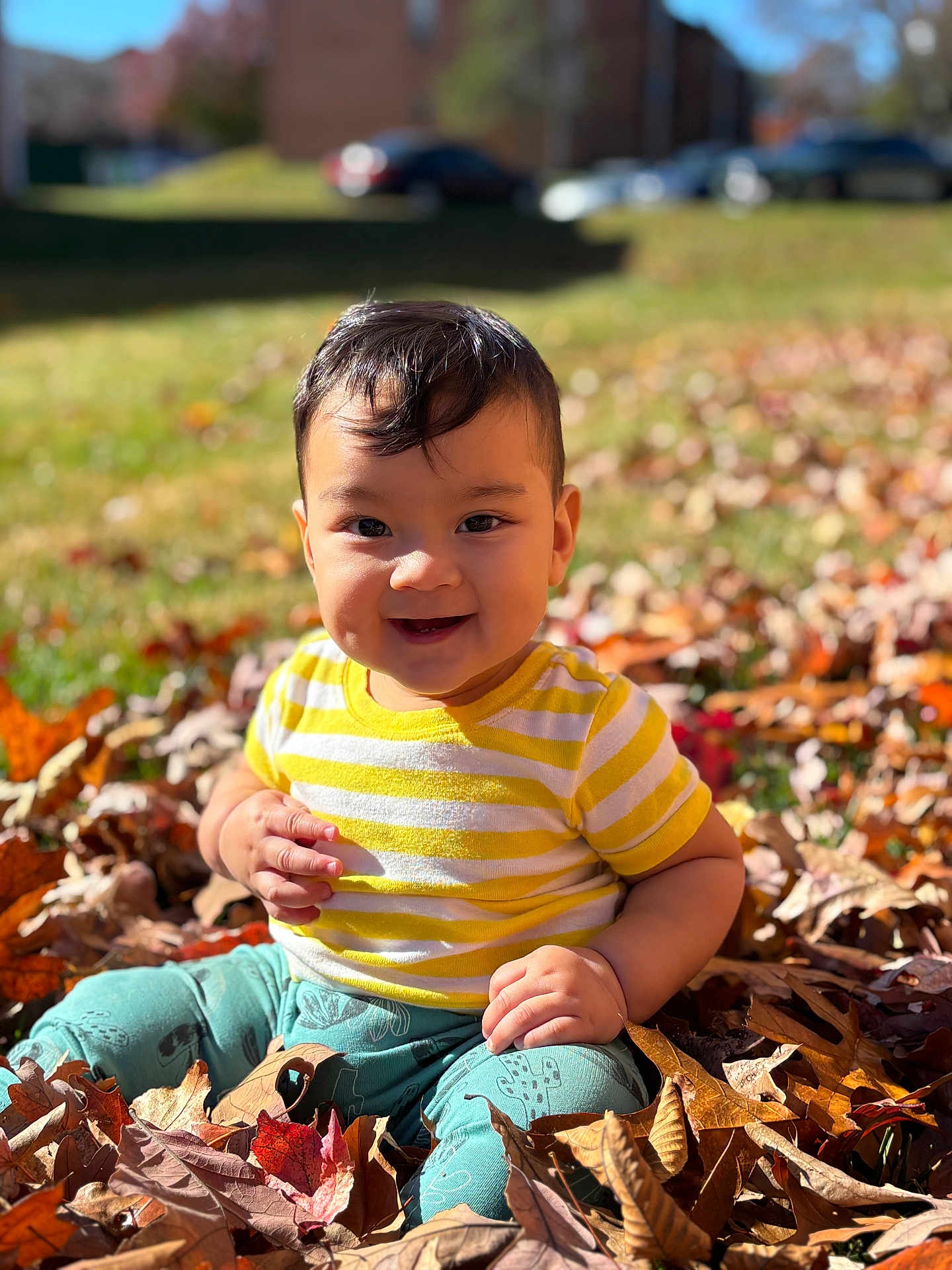 Cy is registered to the contest to win money with this photo: toddler, child, autumn_leaves, outdoor, smiling, yellow_shirt, striped_shirt, teal_pants, grass, sunlight, fall, nature, happy, sitting, baby, cute, portrait, daylight, seasonal, parked_cars