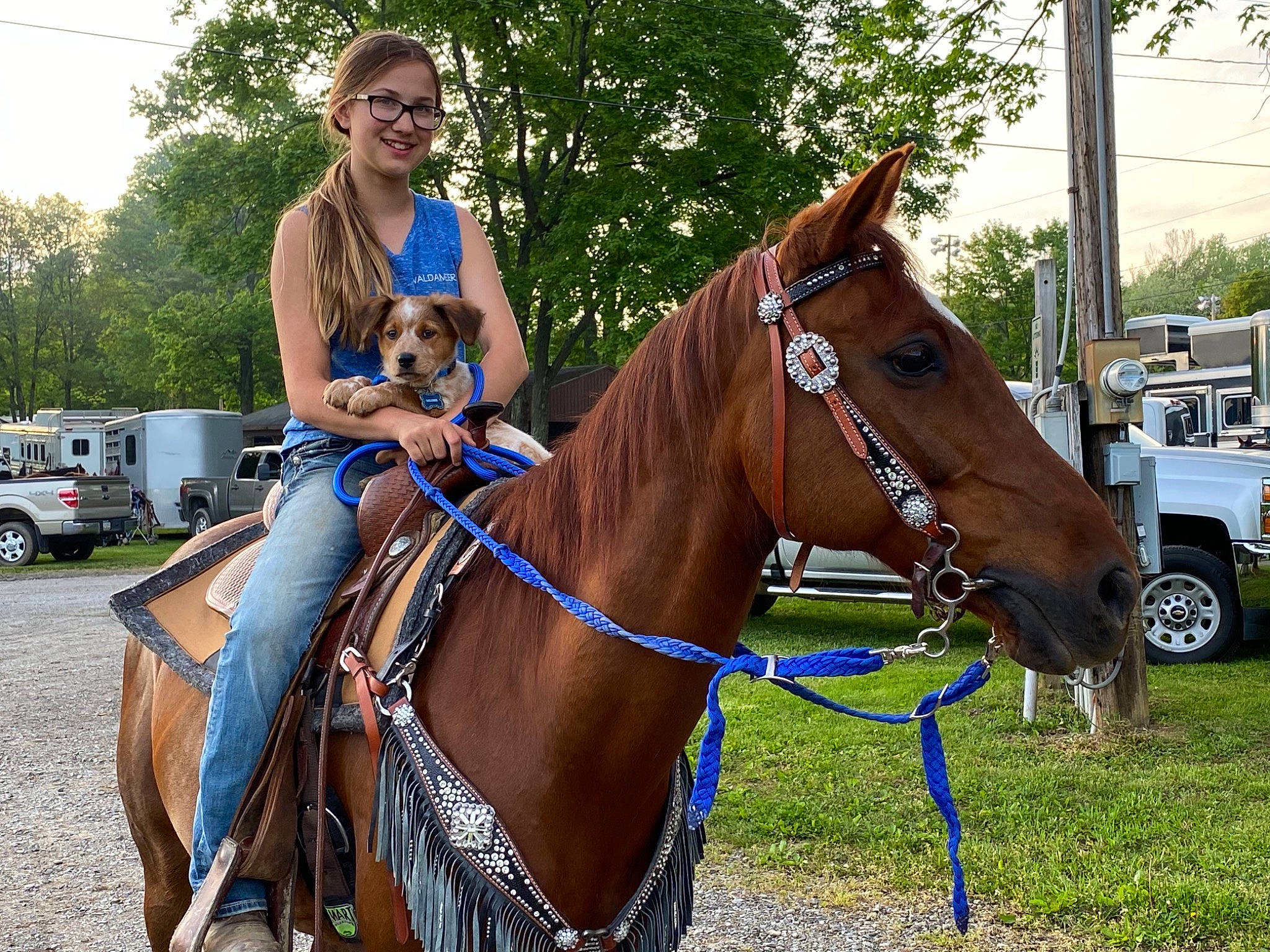 Caliber is registered to the contest to win money with this photo: bit, bridle, equestrian_sport, equestrianism, horse, horse_supplies, horse_tack, liver, mane, pack_animal, recreation, rein, saddle, smile, sorrel, tire, tree, truck, wheel, working_animal