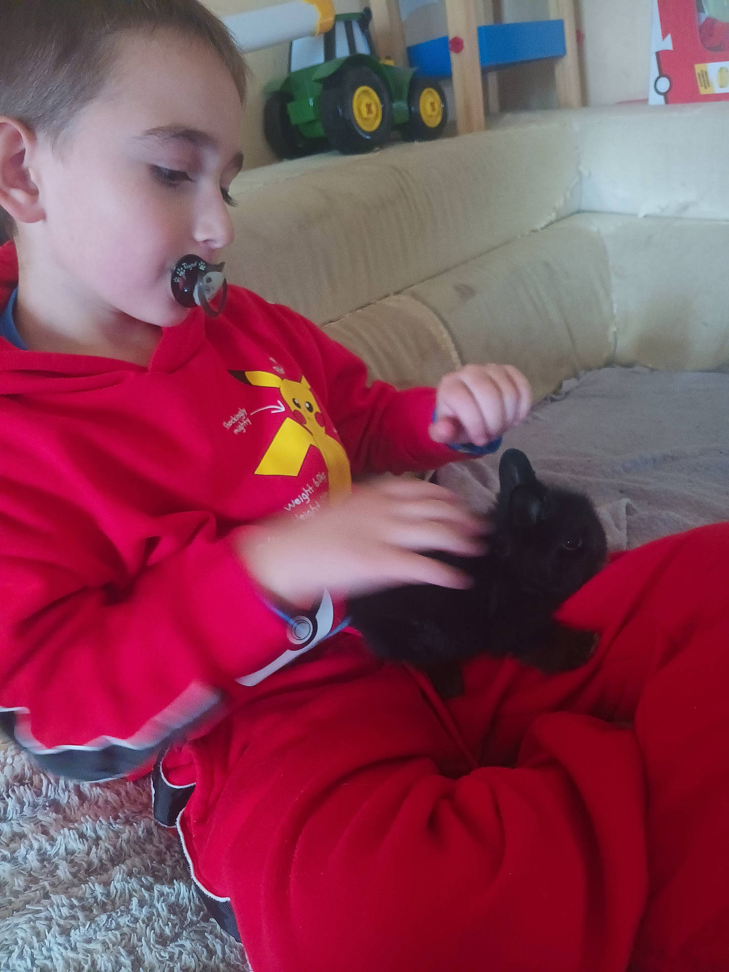 Leo participe au concours pour gagner de l'argent avec cette photo : animal, black_bunny, carpet, casual, child, comfort, couch, cozy, cute, furniture, gentle, home, indoor, pacifier, pet, playtime, red_clothing, sitting, toy_tractor, young_child