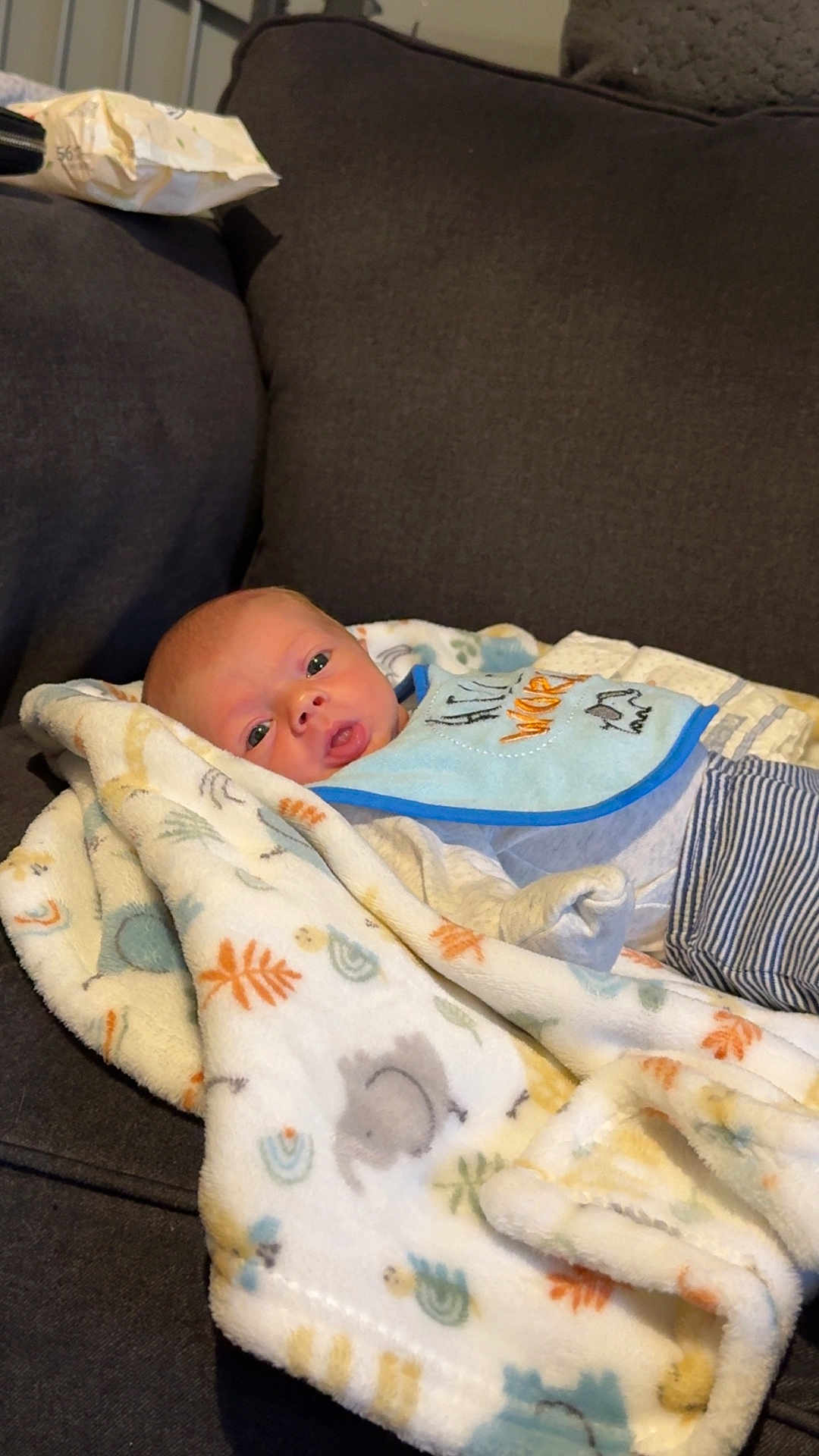 Braxton joined the competition — help win amazing prizes! animal_print, baby, bib, blanket, child, clothing, comfort, couch, cozy, cute, expression, face, indoor, infant, person, portrait, resting, soft, striped_pants, young