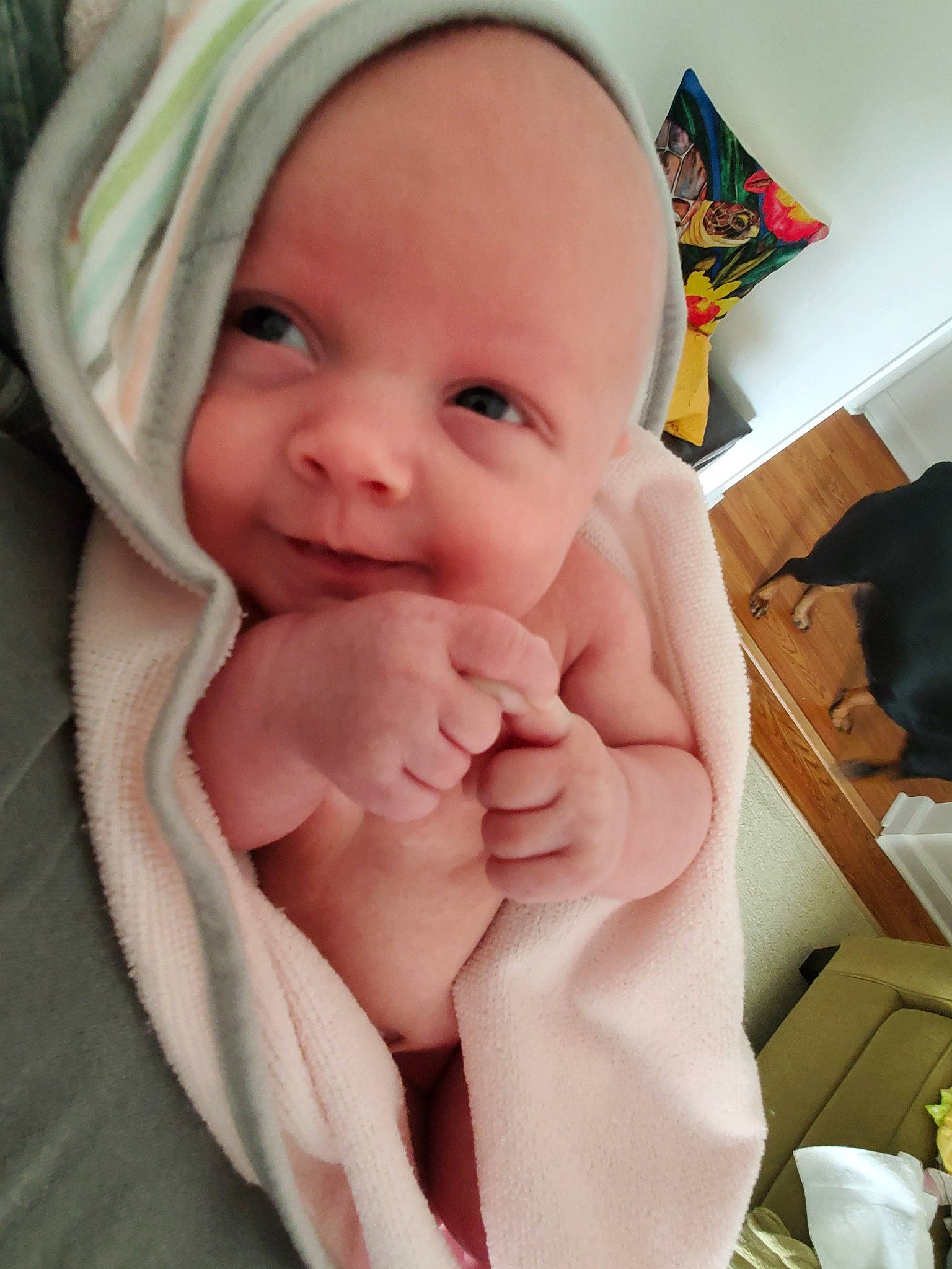 Austyn joined the competition — help win amazing prizes! baby, cheek, child, chin, eye, face, finger, hand, head, lip, mouth, nose, person, skin, smile, thumb, toddler