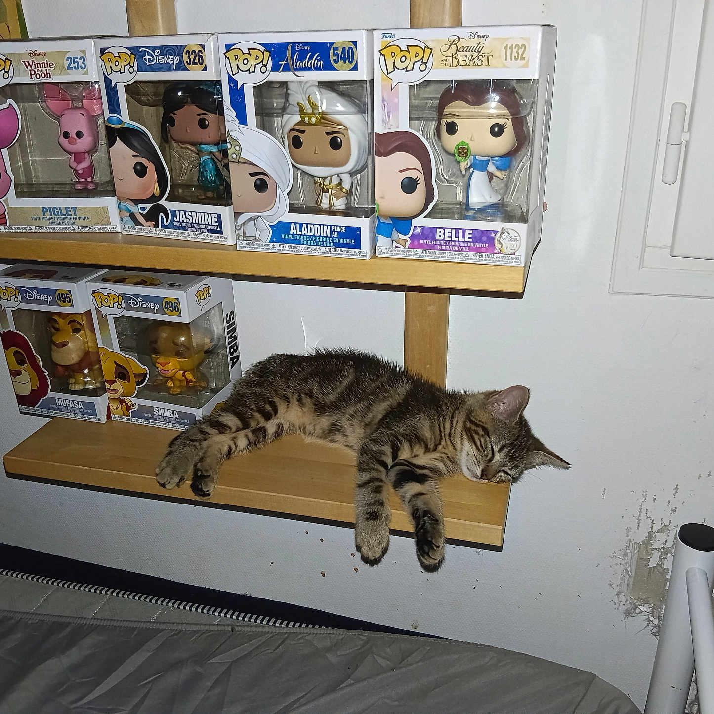 Blueréal participe au concours pour gagner de l'argent avec cette photo : cat, tabby_cat, sleeping, wooden_shelf, funko_pop, disney, piglet, jasmine, aladdin, belle, simba, mufasa, toys, collectibles, window, wall, bed, indoor, relaxation, napping
