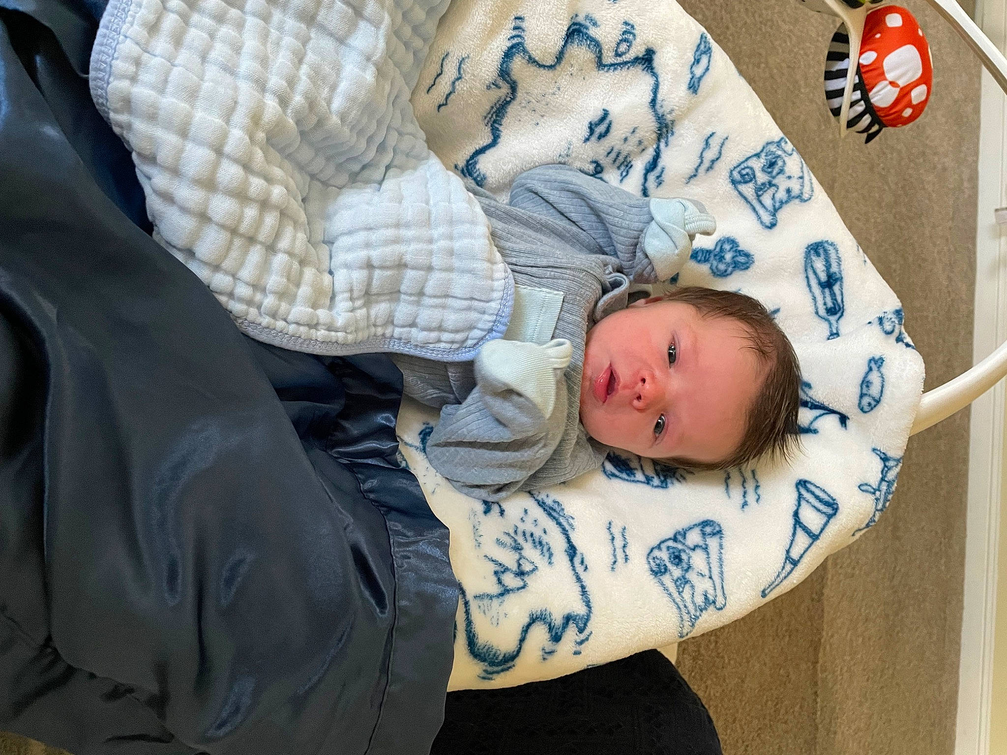 Monte is registered to the contest to win money with this photo: baby, baby_products, baby_safety, baby_toddler_clothing, child, comfort, linens, pattern, person, sitting, sleep, sleeve, textile, toddler, tree