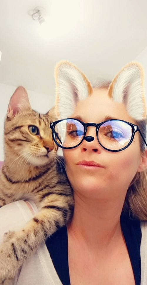 Pato participe au concours pour gagner de l'argent avec cette photo : carnivore, cat, cool, ear, eye, eyewear, facial_expression, fawn, felidae, fur, gesture, glasses, happy, nose, organ, selfie, small_to_medium_sized_cats, snout, vision_care, whiskers