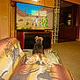 Bella is registered to the contest to win money with this photo: