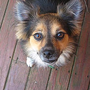 Bella is registered to the contest to win money with this photo: