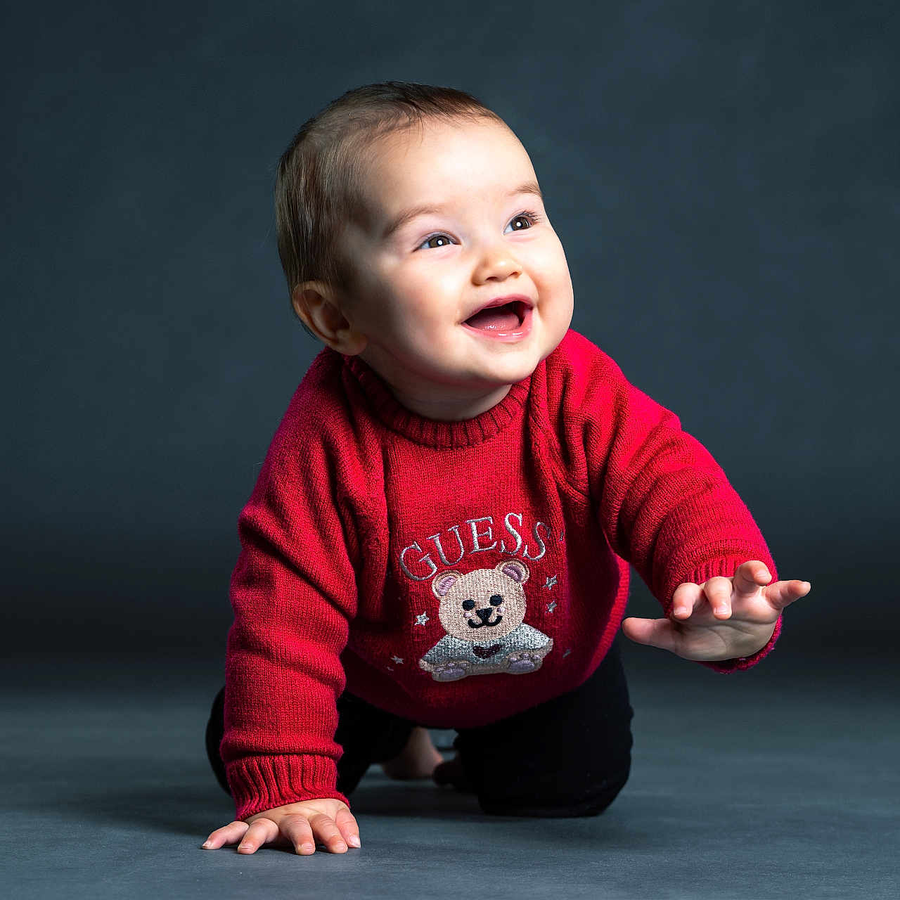 Rio a rejoint le concours — aidez-le/la à gagner de superbes lots ! baby, background, child, clothing, crawling, cute, floor, happy, head, indoor, infant, person, portrait, reaching, red_sweater, smiling, studio, sweater, teddy_bear, young_child
