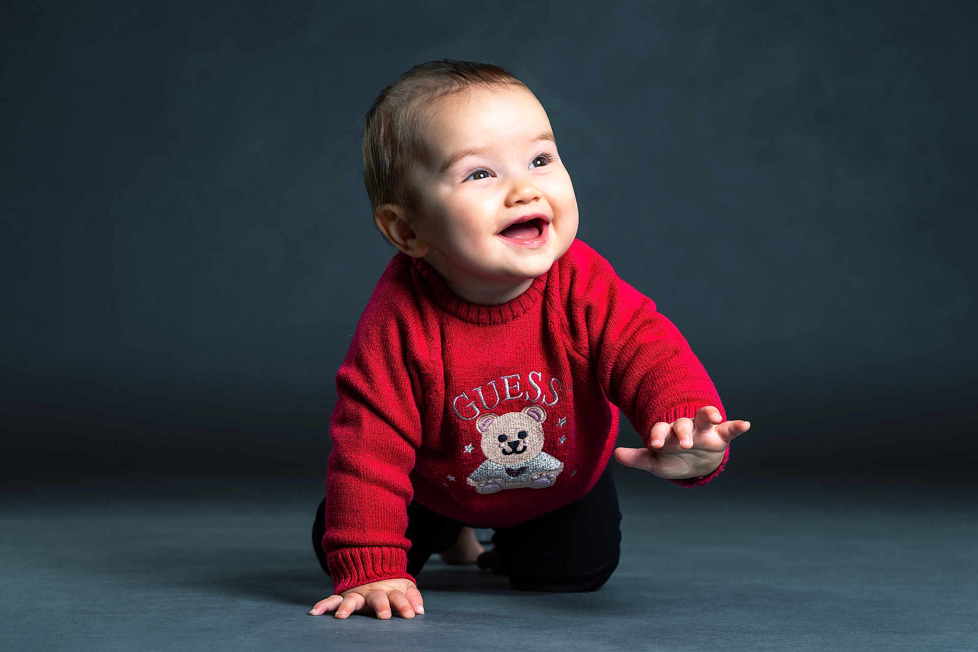 Rio a rejoint le concours — aidez-le/la à gagner de superbes lots ! baby, background, child, clothing, crawling, cute, floor, happy, head, indoor, infant, person, portrait, reaching, red_sweater, smiling, studio, sweater, teddy_bear, young_child
