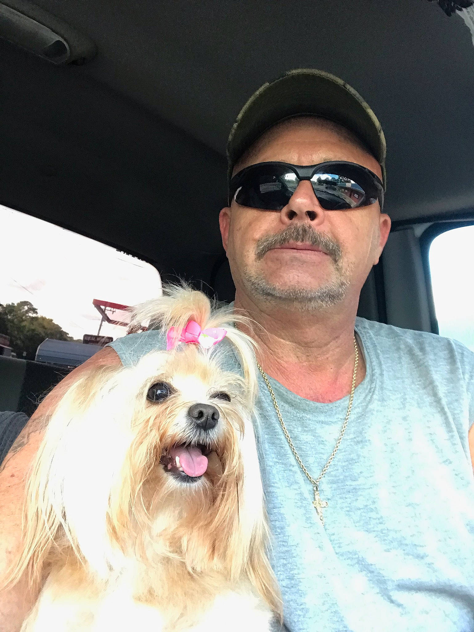 Angel Faith joined the competition — help win amazing prizes! baseball_cap, beard, cap, carnivore, companion_dog, dog, dog_breed, eyewear, facial_hair, fun, fur, glasses, goggles, happy, hat, snout, sunglasses, toy_dog, vision_care, working_animal