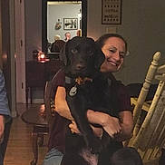 Lilly-lu is registered to the contest to win money with this photo: carnivore, chair, comfort, companion_dog, cooking, couch, cuisine, dish, dog, dog_breed, event, food, guard_dog, picture_frame, plate, room, smile, t_shirt, table, tableware