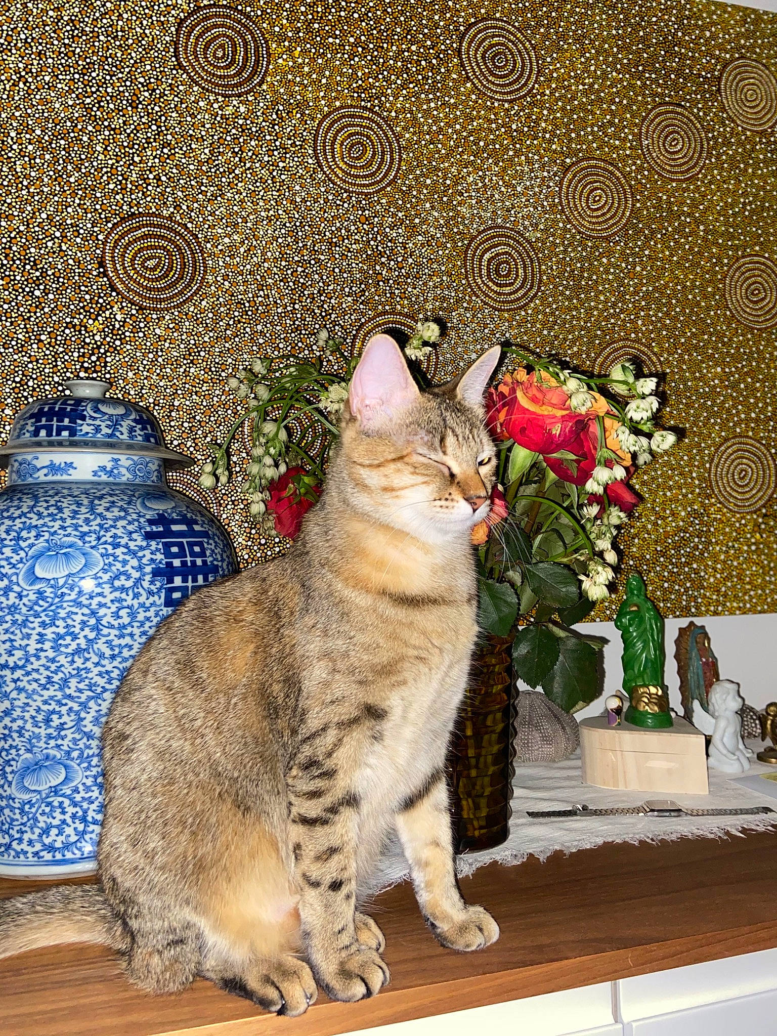 Kannel a rejoint le concours — aidez-le/la à gagner de superbes lots ! art, carnivore, cat, domestic_short_haired_cat, fawn, felidae, flower, flowerpot, fur, grass, houseplant, petal, photo_caption, plant, rectangle, sitting, small_to_medium_sized_cats, snout, tail, whiskers