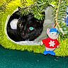 cat, black_cat, furry, green_tunnel, plush_toy, mouse_toy, red_sweater, blue_boots, pine_branches, curious, indoor, cozy, pet, animal, close_up, soft_texture, playful, holiday_decor, green_background, cute